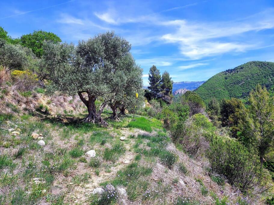 La Maison De Ninia Digne-les-Bains ภายนอก รูปภาพ